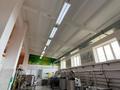 Еркін, қоймалар, ауыл шаруашылығы · 250 м², бағасы: 290 млн ₸ в Астане, Алматы р-н — фото 5