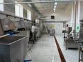 Еркін, қоймалар, ауыл шаруашылығы · 250 м², бағасы: 290 млн ₸ в Астане, Алматы р-н — фото 7