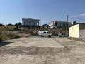Участок · 8 соток, мкр Самал-3, Керей хана 5 за 35 млн ₸ в Шымкенте, Абайский р-н — фото 5