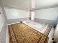 Отдельный дом · 2 комнаты · 62.2 м² · 10 сот., 3-е отделение 24 за 17 млн ₸ в Талдыкоргане — фото 10