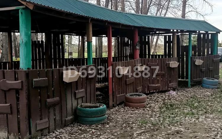 Бани, гостиницы и зоны отдыха • 1000 м² за 50 000 〒 в Талдыкоргане, Каратал — фото 8
