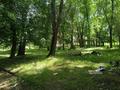 Участок · 67.55 соток, Байболова 220 за 90 млн ₸ в Байдибек би — фото 7