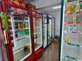 Свободное назначение · 120 м² за 51 млн ₸ в Балхаше — фото 12