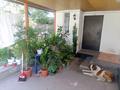 Отдельный дом · 5 комнат · 100 м² · 12 сот., мкр Калкаман-2, Дорожник 9 — Райымбека Ашимова за 200 млн ₸ в Алматы, Наурызбайский р-н — фото 5