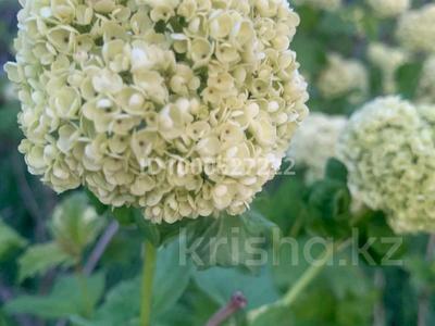 Дача · 1 комната · 26.3 м² · 7.6 сот., ул Жайлау уч 38 за 4.5 млн 〒 в 