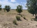 Участок · 6 соток, Алтын Арман 6 — Садовое общество. за 4.5 млн ₸ в Енбекши (Карасайский район) — фото 3