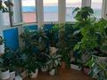 3-комнатная квартира · 70 м² · 4/5 этаж, микр Каратал 55 — Возле НИШ за 23 млн ₸ в Талдыкоргане — фото 13