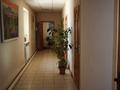 Кеңселер, қоймалар · 32 м², бағасы: 64 000 ₸ в Усть-Каменогорске, Ульбинский — фото 3