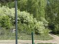 Дача · 2 комнаты · 23 м², Березка за 20 000 ₸ в Новой бухтарме — фото 16