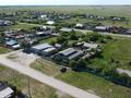 Отдельный дом · 6 комнат · 142 м² · 43 сот., Улица Мира за 43 млн ₸ в Силантьевке — фото 4