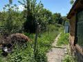 Жеке үй · 3 бөлме · 40 м² · 8 сот., Кунаева 22/2, бағасы: 15 млн ₸ в Шалкар — фото 9