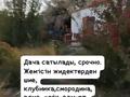 Дача · 1 комната · 40 м² · 10 сот., Дамба — Жаңа бейіт ар жағындағы дача Электрик за 2.5 млн 〒 в Тасбогете — фото 9