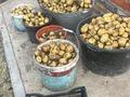 Отдельный дом · 6 комнат · 300 м² · 16 сот., Макатаева 18 — Молдагулова за 65 млн ₸ в Жибек Жолы — фото 14