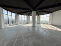 Еркін · 334.8 м², бағасы: 2.5 млн ₸ в Каскелене — фото 14