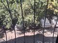 2-бөлмелі пәтер · 62.4 м² · 2/5 қабат, Абая 17 — проспект Достык, бағасы: 70 млн ₸ в Алматы, Медеуский р-н — фото 6