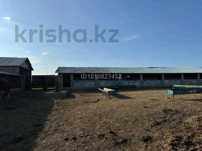 Жер телімі · 6.5 га, Колащы, бағасы: 37 млн ₸ в Жибек Жолы