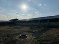 Жер телімі · 6.5 га, Колащы, бағасы: 53 млн ₸ в Жибек Жолы — фото 8