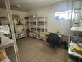 Свободное назначение, общепит · 500 м² за 250 000 ₸ в Балхаше — фото 3