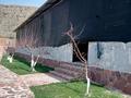 Уникалный готовый банный комплекс · 2700 м² за 155 млн ₸ в Каскасу — фото 5