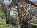 Саяжай · 3 бөлме · 100 м² · 7 жүзд., Алма 3, бағасы: 10.5 млн ₸ в Долане — фото 5