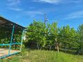 Жеке үй · 10 бөлме · 300 м² · 15 жүзд., Онайбаев 19, бағасы: 32 млн ₸ в  — фото 13