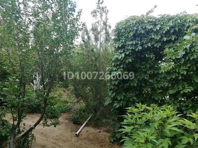 Дача · 2 комнаты · 29 м² · 12 сот., мкр Кокарна, С/О Химик Набережная 24 — На берегу Урала за 15 млн 〒 в Атырау