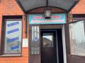 Жеке үй · 4 бөлме · 171.3 м² · 4.65 жүзд., Дальневосточная — Нурмагамбетова, бағасы: 133 млн ₸ в Павлодаре — фото 41