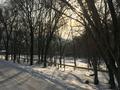 Отдельный дом · 4 комнаты · 150 м² · 8 сот., 203-й квартал 7063 участок — Вблизи Форелевое хозяйство "Восточная сказка" по верхней трассе за 60 млн ₸ в Каскелене — фото 75
