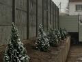 Отдельный дом · 4 комнаты · 150 м² · 8 сот., 203-й квартал 7063 участок — Вблизи Форелевое хозяйство "Восточная сказка" по верхней трассе за 60 млн ₸ в Каскелене — фото 54