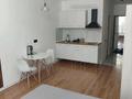 1-комнатная квартира · 30 м² · 2/13 этаж, Просп. Назарбаева — Метро Раимбек батыра за 250 000 ₸ в Алматы, Жетысуский р-н — фото 3