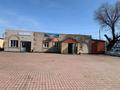 Магазины и бутики · 346 м² за 160 млн ₸ в Павлодарской обл., Актогай
