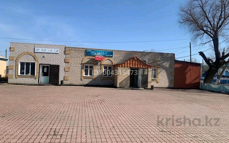 Магазины и бутики · 346 м² за 160 млн ₸ в Павлодарской обл., Актогай — фото 2