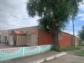 Магазины и бутики · 346 м² за 160 млн ₸ в Павлодарской обл., Актогай — фото 5