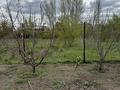 Дача · 2 комнаты · 25 м² · 8 сот., Ск черемушки за 2.8 млн ₸ в Актобе, мкр Гормолзавод — фото 11