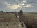 Участок · 7.2 га, Булакты за 1.2 млрд ₸ — фото 5