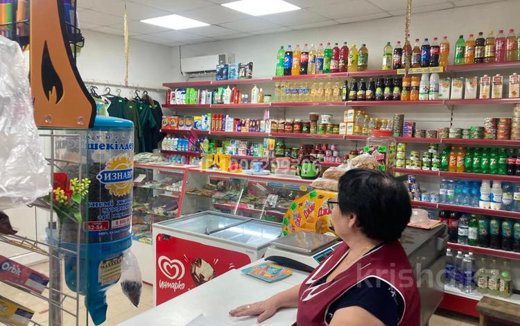 Свободное назначение, магазины и бутики, бани, гостиницы и зоны отдыха, развлечения · 300 м² за 35 млн ₸ в Майкайыне — фото 2