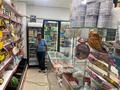 Свободное назначение, магазины и бутики, бани, гостиницы и зоны отдыха, развлечения · 300 м² за 35 млн ₸ в Майкайыне — фото 2