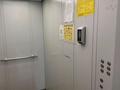 3-комнатная квартира · 66 м² · 4/9 этаж, Мкр. Карагайлы 20 — Возле Абай арены за 32 млн ₸ в Семее