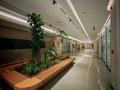 Свободное назначение, офисы, магазины и бутики, салоны красоты, фитнес и спорт, медцентры и аптеки, образование, развлечения, конференц-залы, кабинеты и рабочие места, студии · 3200 м² за 18 000 ₸ в Алматы, Бостандыкский р-н — фото 4