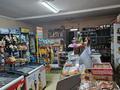 Магазины и бутики, общепит • 100 м² за 98 млн 〒 в Алматы, Турксибский р-н — фото 10