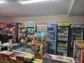 Магазины и бутики, общепит • 100 м² за 98 млн 〒 в Алматы, Турксибский р-н — фото 6