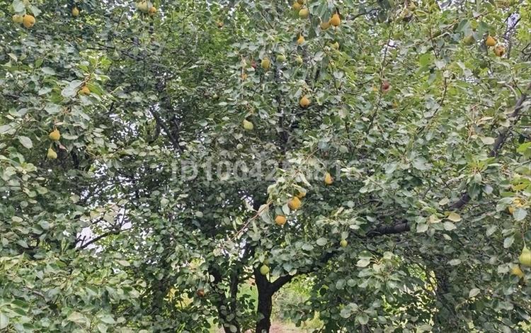 Дача · 1 комната · 40 м² · 32 сот., мкр Кокарна, Садовая 42 а — С/О Химик за 15.5 млн ₸ в Атырау — фото 7