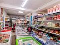 Свободное назначение, магазины и бутики, общепит, салоны красоты · 245 м² за 850 млн ₸ в Алматы, Ауэзовский р-н — фото 13