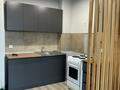 2-комнатная квартира · 43 м² · 1/8 этаж, мкр Кокжиек за 200 000 ₸ в Алматы, Жетысуский р-н — фото 3