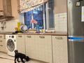 Дом · 4 комнаты · 400 м², Жастар за 150 000 ₸ в Конаеве — фото 18