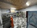 Отдельный дом · 5 комнат · 200 м² · 10 сот., Сарыарка 96А за 40 млн ₸ в Кабанбае Батыра — фото 8
