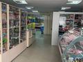 Магазины и бутики • 200 м² за 95 млн 〒 в Павлодаре — фото 3