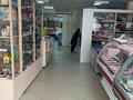 Магазины и бутики • 200 м² за 95 млн 〒 в Павлодаре — фото 5