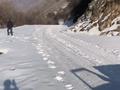 Участок · 150 га, Каргалы (п. Фабричный) за 80 млн ₸ — фото 2