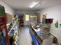 Действующий бизнес продуктовый магазин · 47 м² за 20 млн ₸ в Степногорске — фото 3